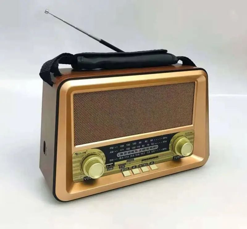Radio Portabil Retro Poro 151 [1]