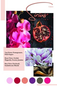 Sirius by Patric, apa de parfum 100 ml, femei [6]