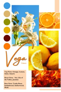 Vega by Patric, apa de parfum 100 ml, femei [6]