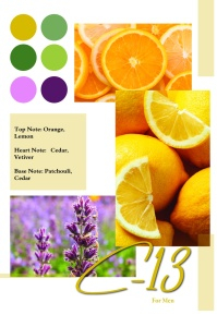 Bleu Pur by Patric (C-13) [4]