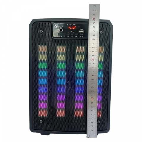 Boxa portabila Poro 132 cu microfon [4]