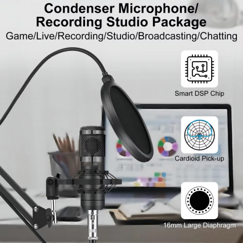 Microfon cu suport ajustabil pentru podcast [8]