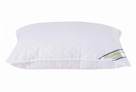 Perne - Nu ai gasit ?Perna 50x70 Matlasata Micro