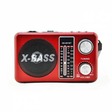 Radio - Radio portabil Poro 133
