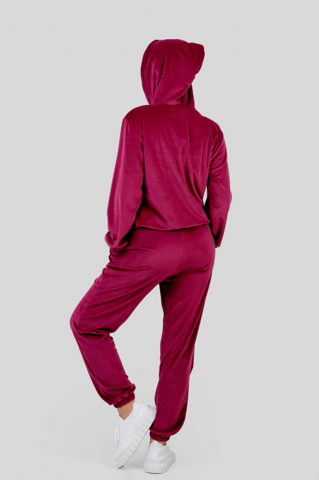 Trening visiniu din catifea [3]