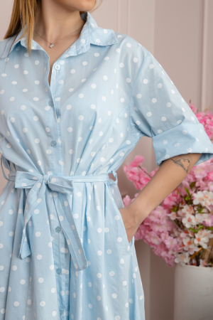 Rochie bleu tip camasa cu buline [1]