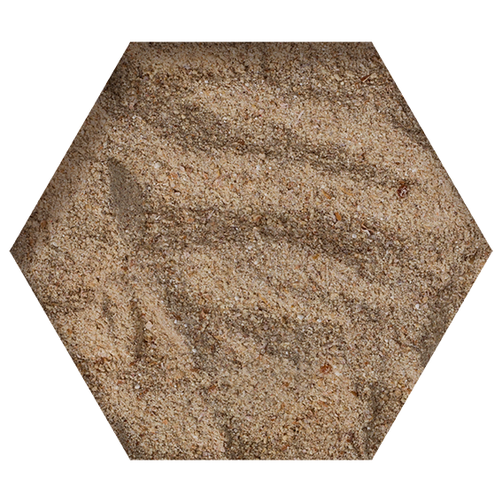 Condition BEY 600gr [2]