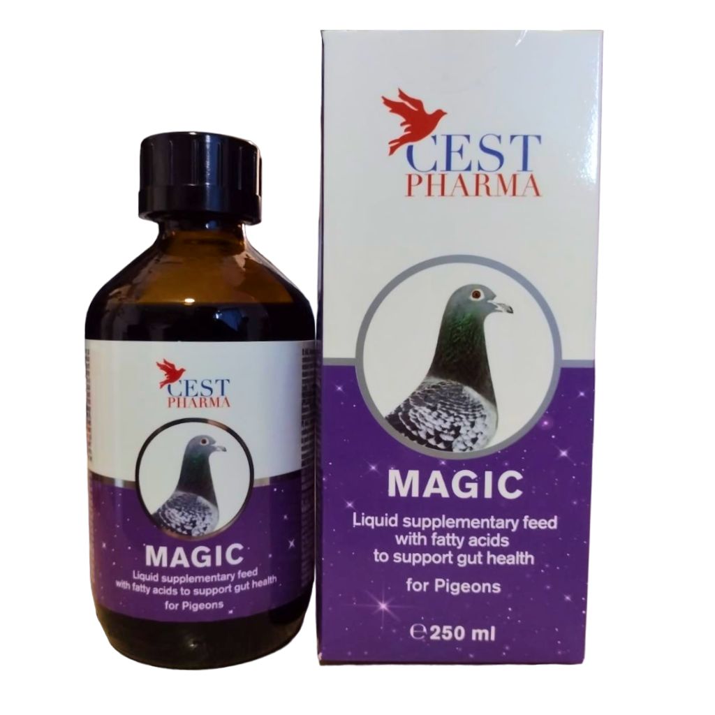 Magic CEST 250ml [1]