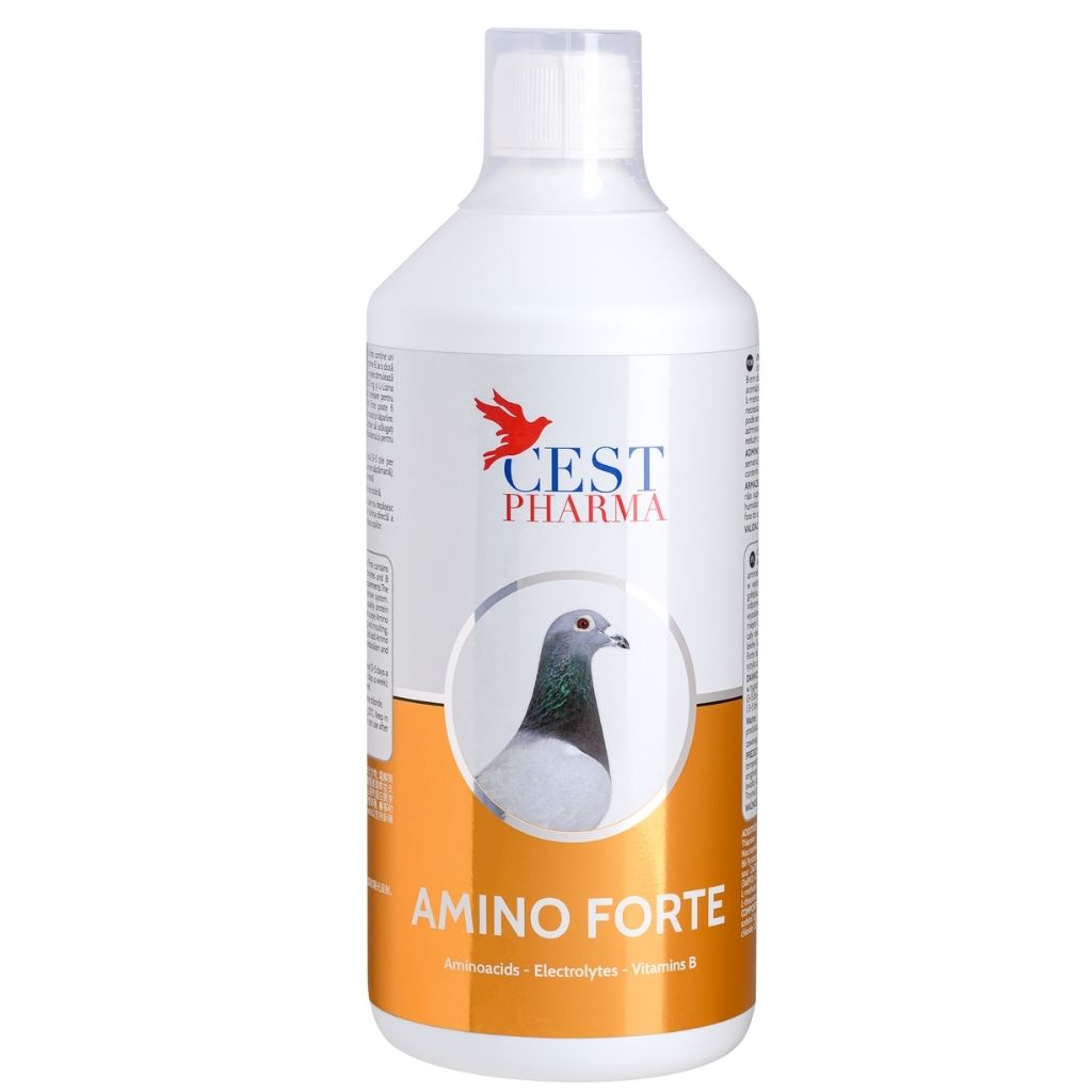 Produse PORUMBEI - Amino Forte Cest 500 Ml