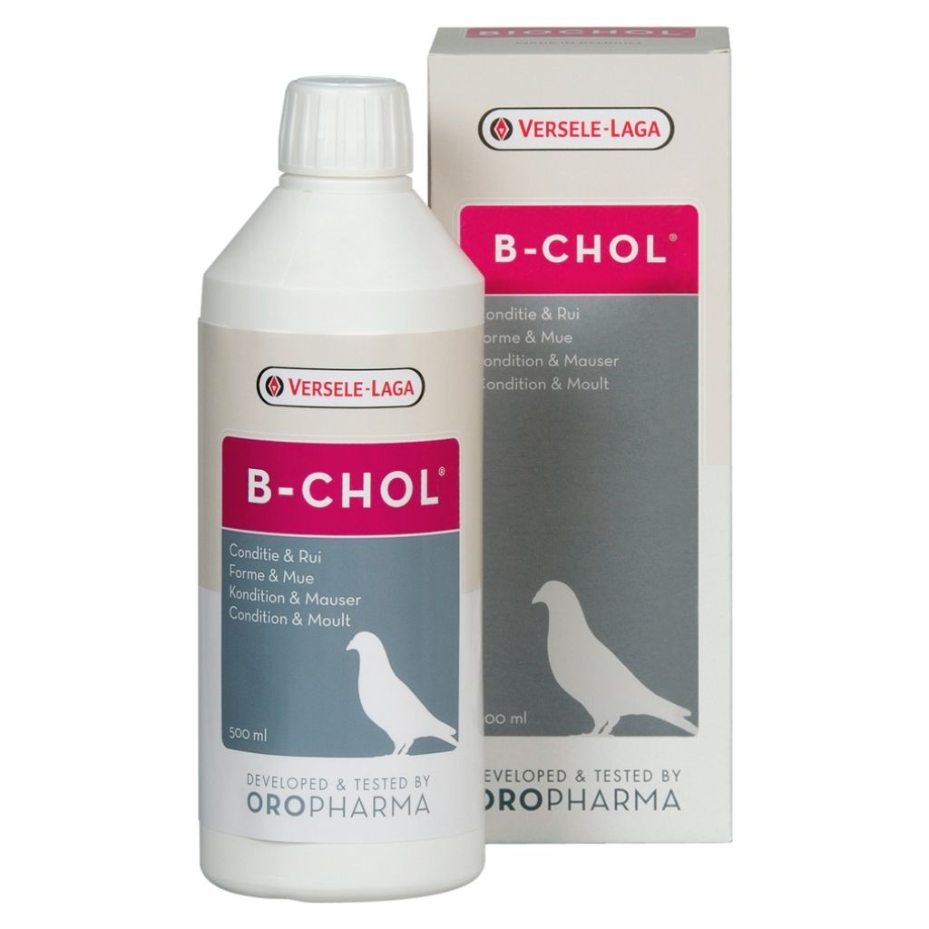 Produse PORUMBEI - B-Chol VL 500ml