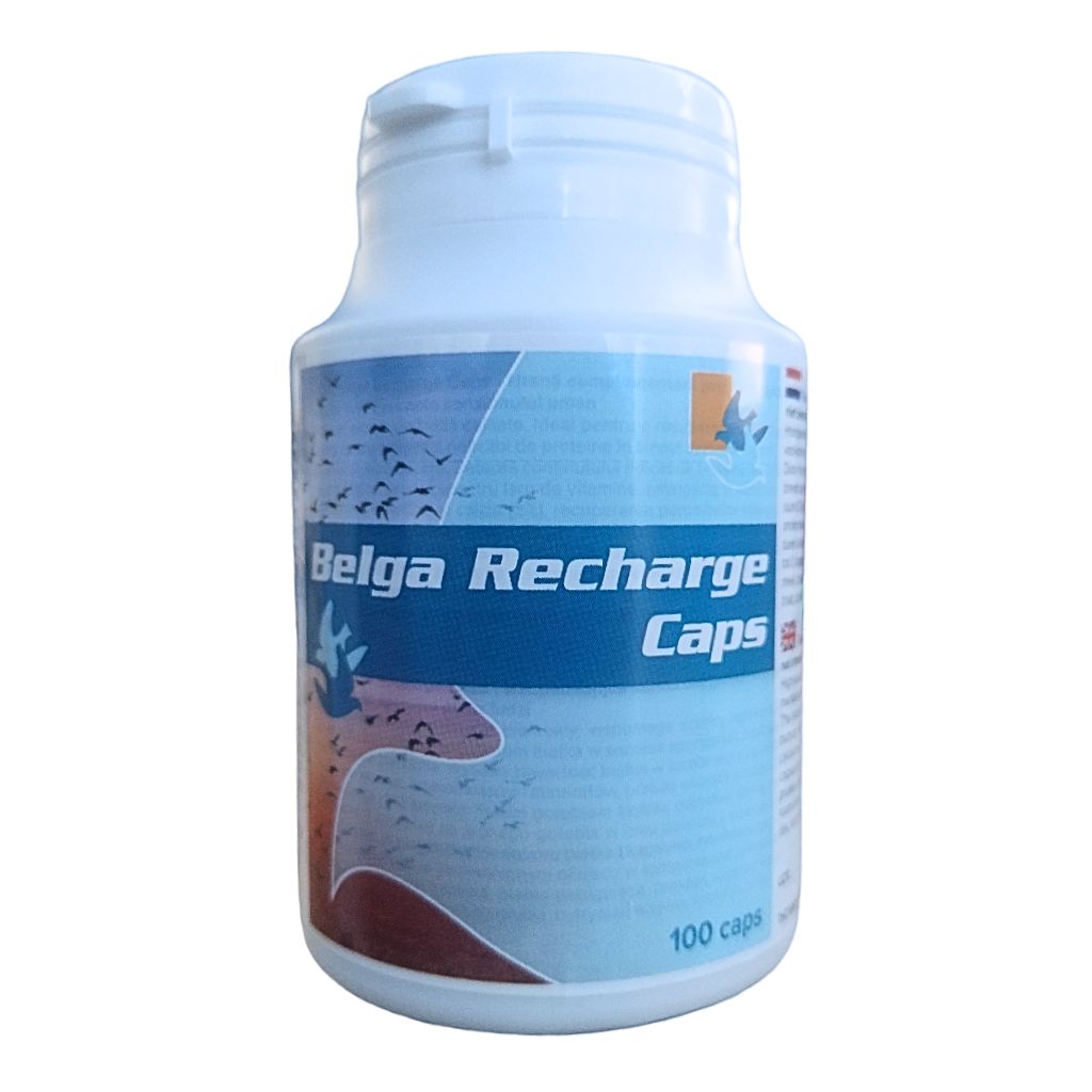 Produse PORUMBEI - Belga Rercharge 100 Tabs