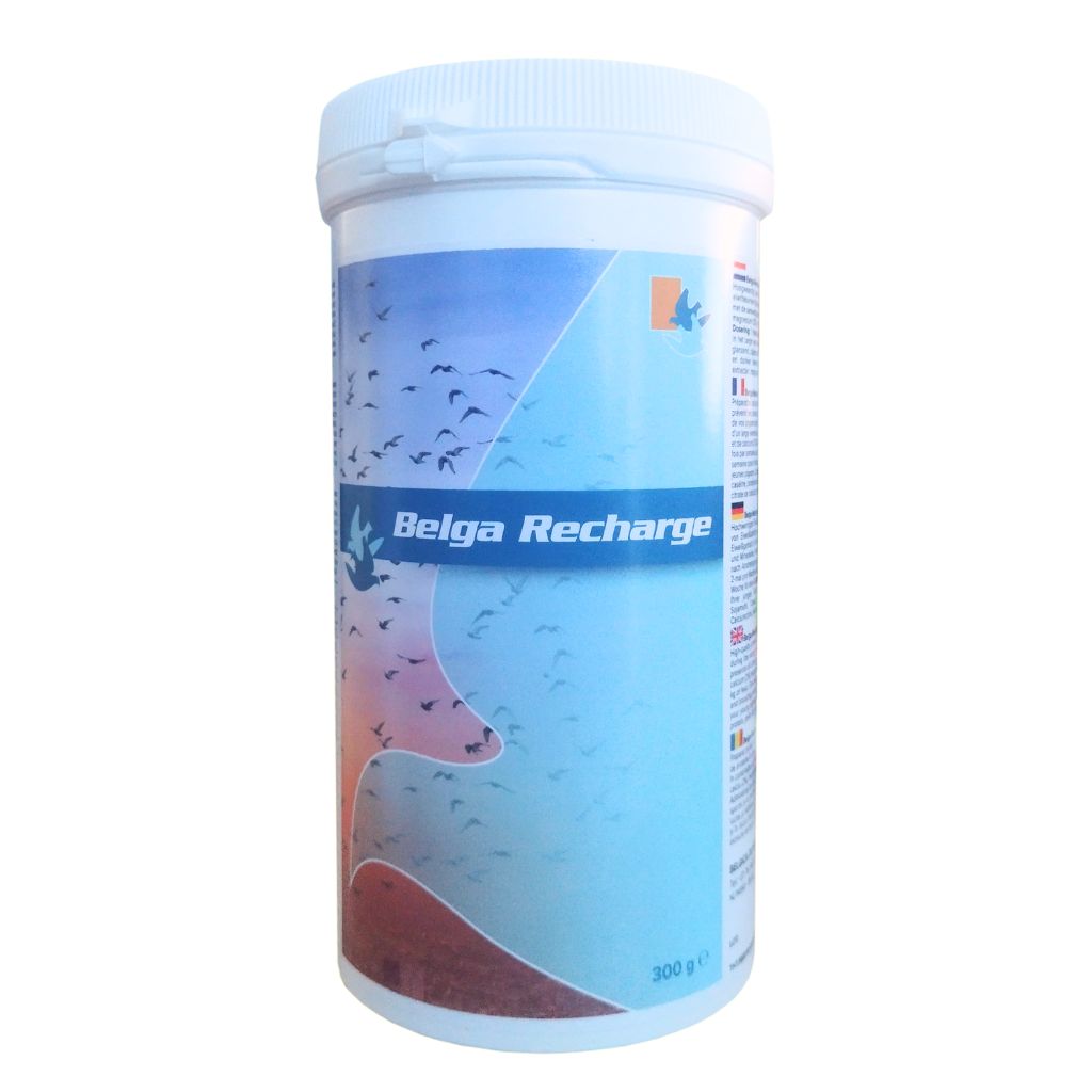 Produse PORUMBEI - Belga Rercharge 300g