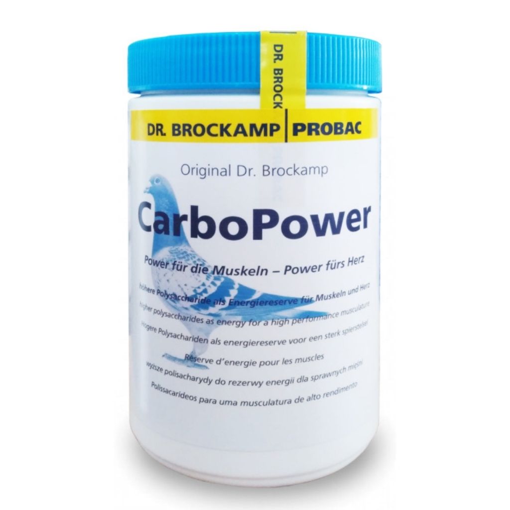 Produse PORUMBEI - Carbo Power BR 500g