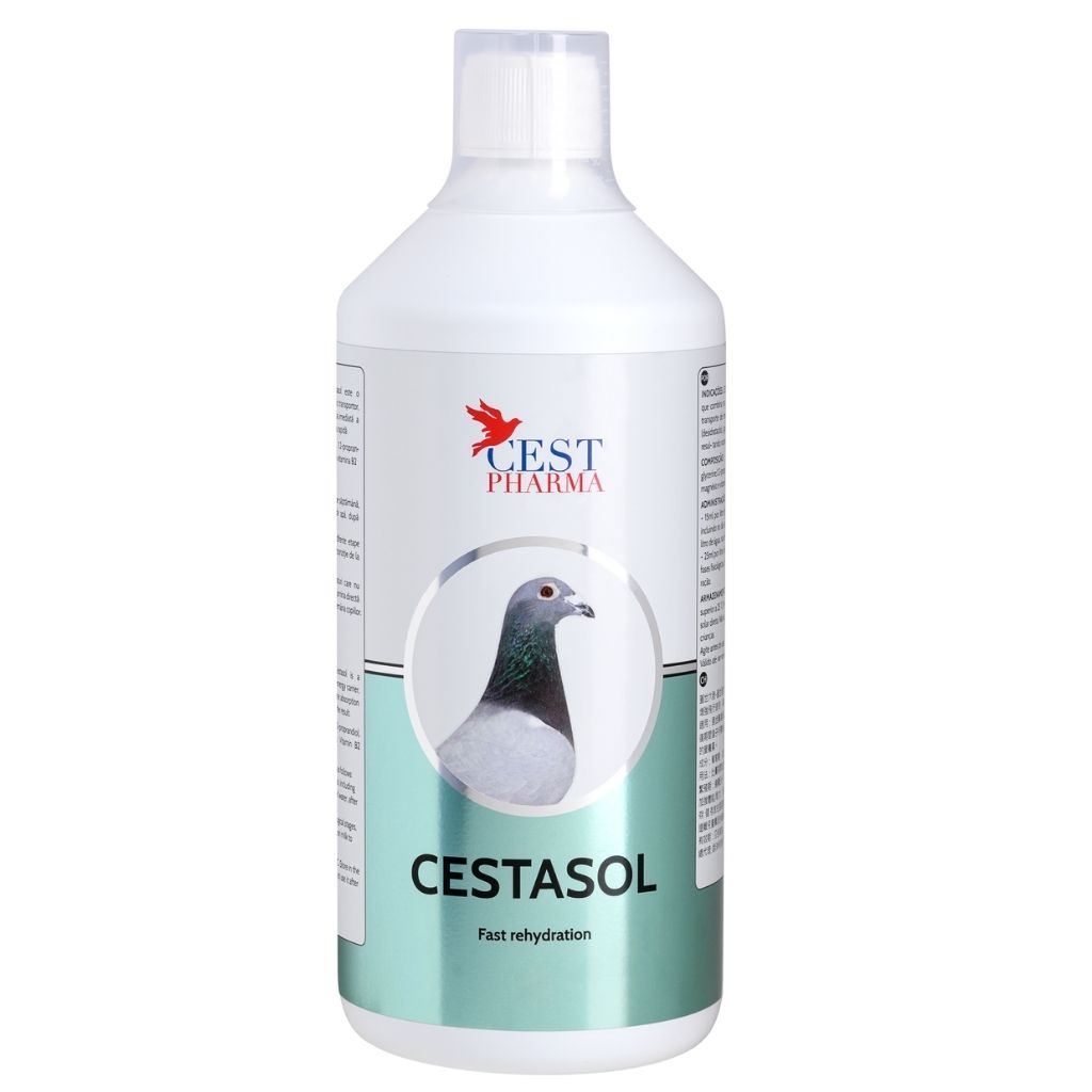 Produse PORUMBEI - Cestasol CEST 1l