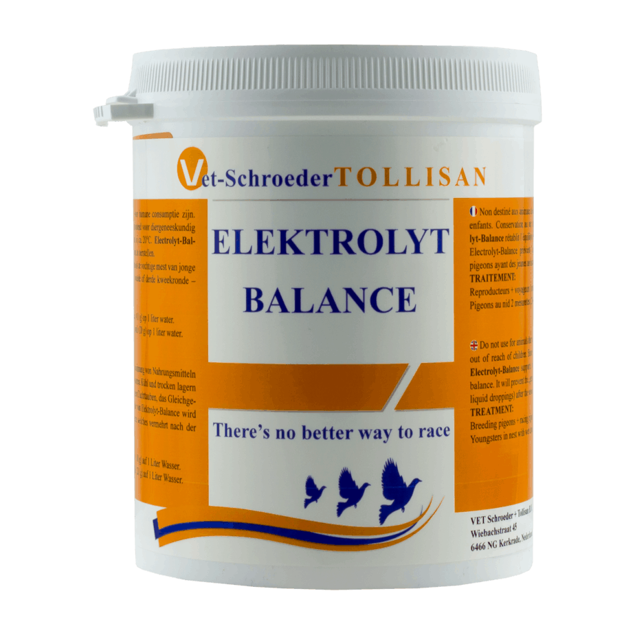 Produse PORUMBEI - Electrolyt Balance TL 500g