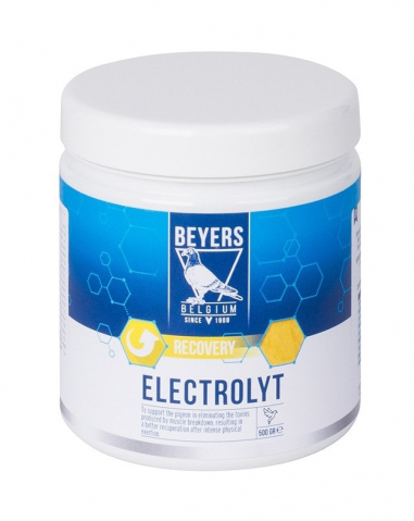Produse PORUMBEI - Electrolyt BEY 500gr