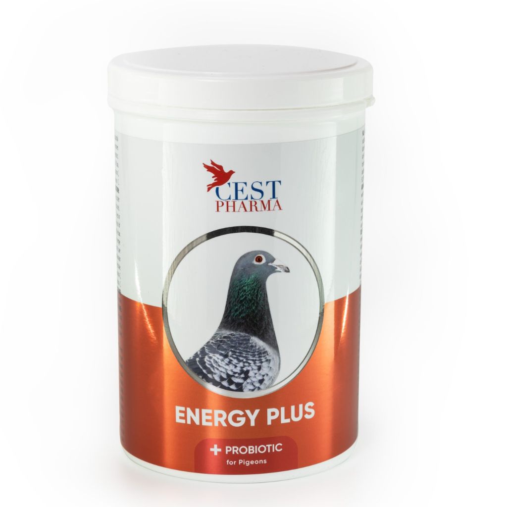 Produse PORUMBEI - Energy Plus CEST 600g