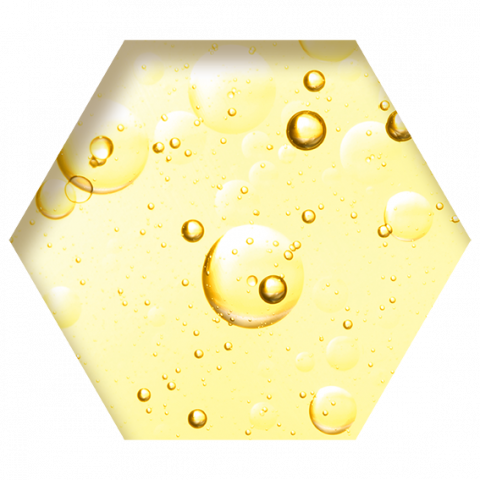 Garlic Oil BEY 400ml [1]