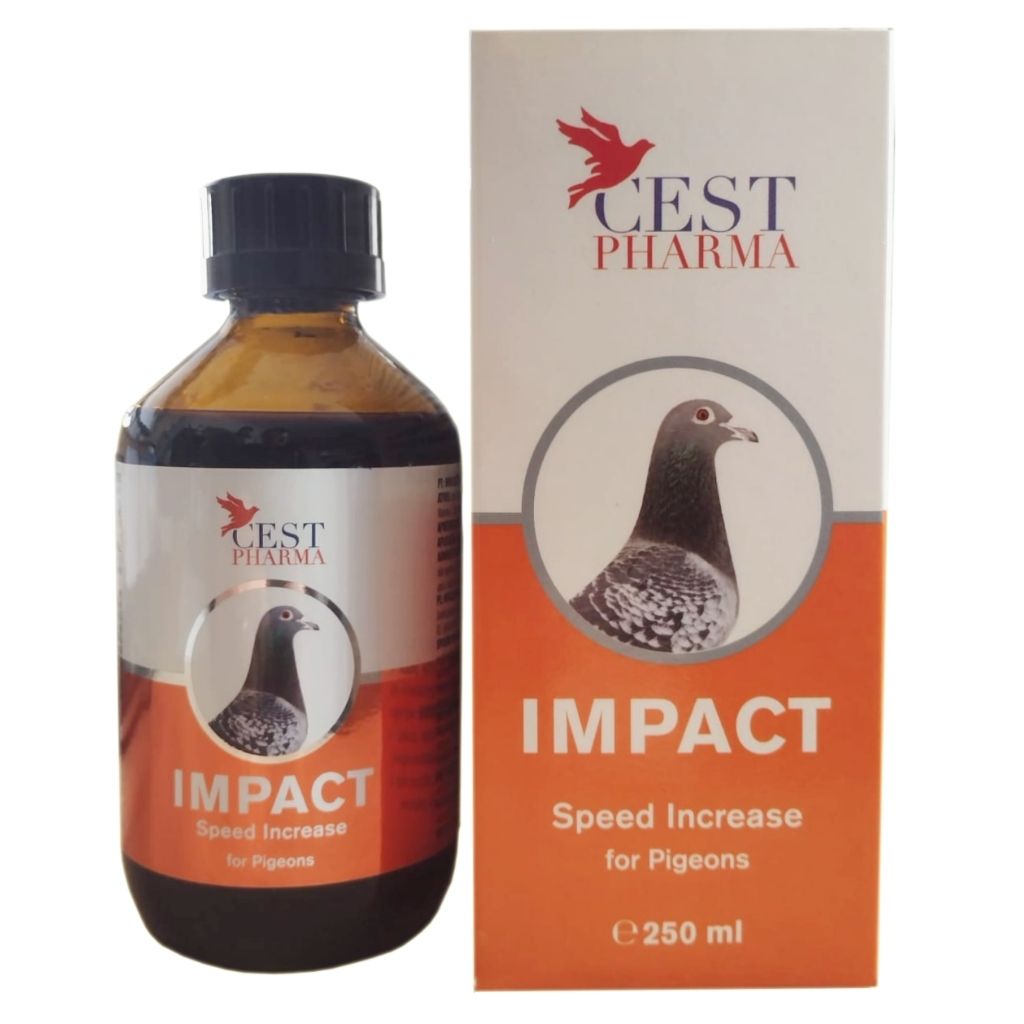 Produse PORUMBEI - Impact CEST 250 Ml
