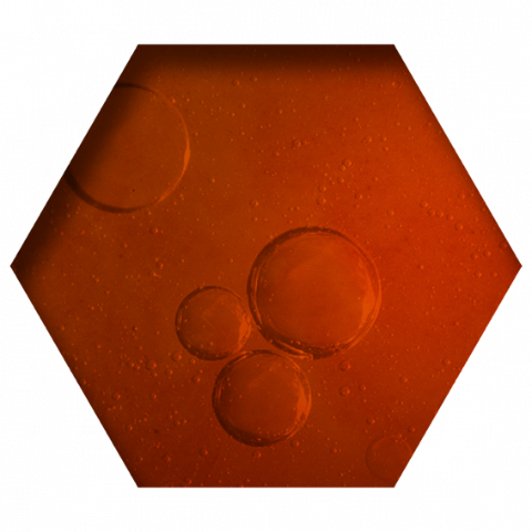 Royal Jelly BEY 400ml [1]