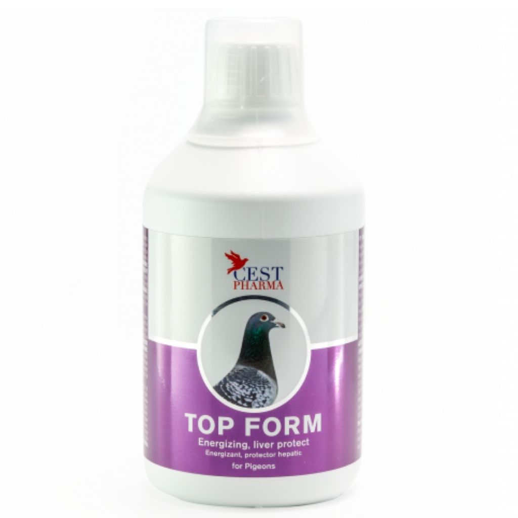 Produse PORUMBEI - Top Form Cest 500ml