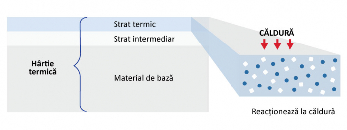HARTIE TERMICA 56mm/30m [4]
