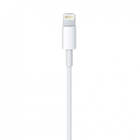 Cablu date telefon mobil iPhone 5 [1]