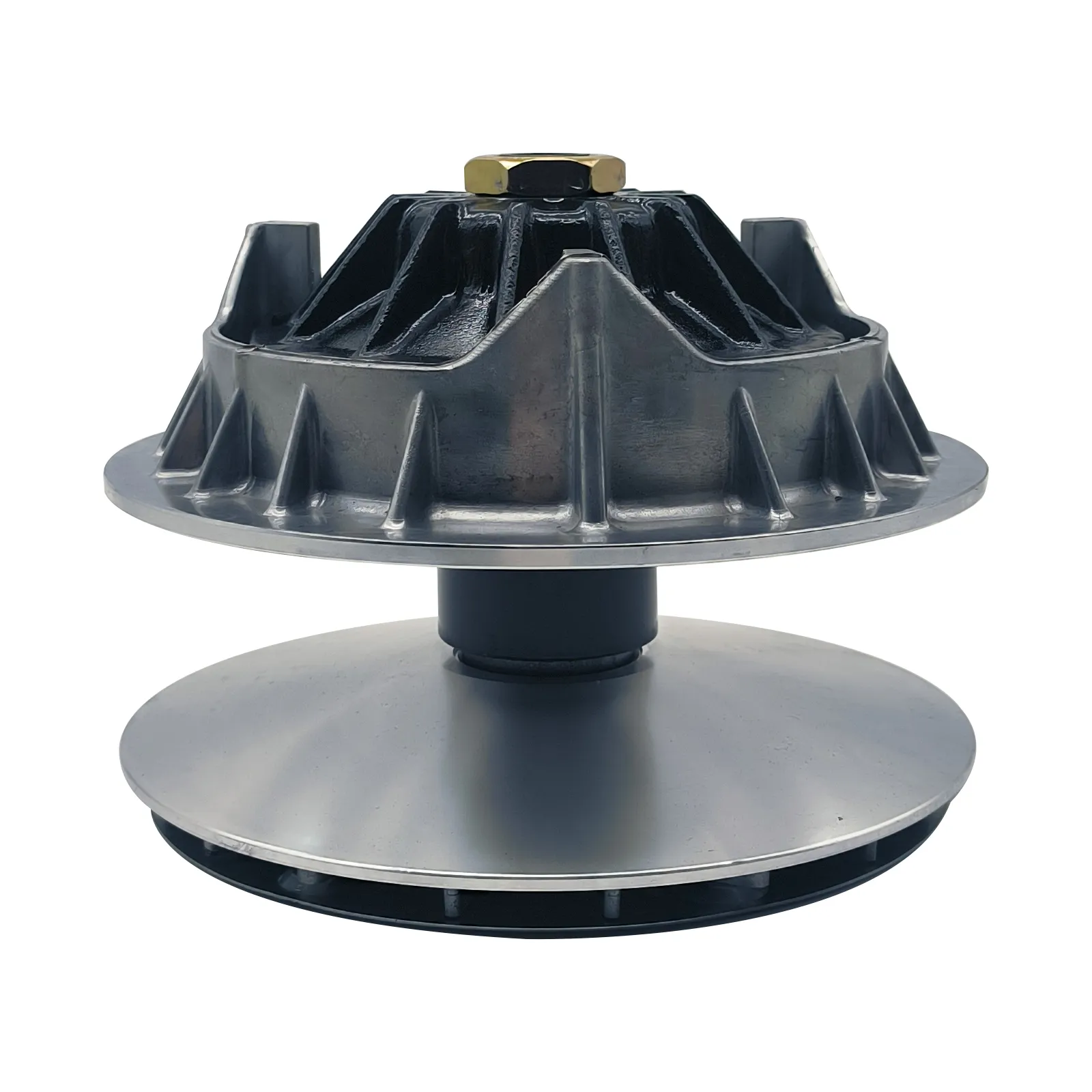AFTERMARKET VARIATOR PRINCIPAL SEGWAY CV TECH F01E20000001F [2]