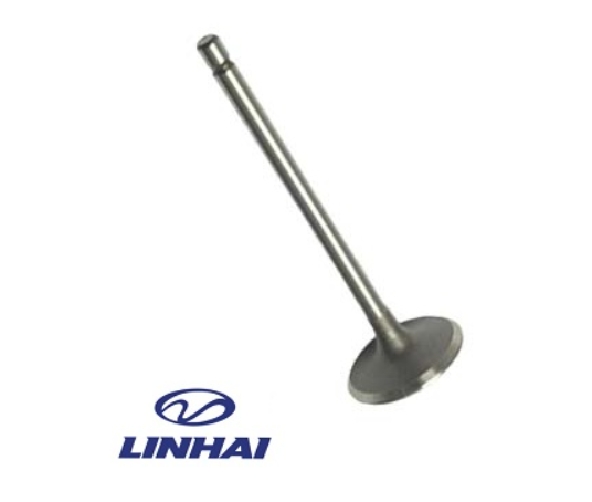 LINHAI 400 SUPAPA ADMISIE 27222 [1]