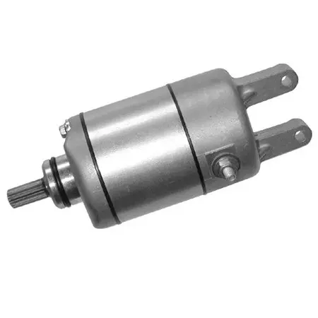 LINHAI 500/520/550/550/600 ELECTROMOTOR 70250 [3]