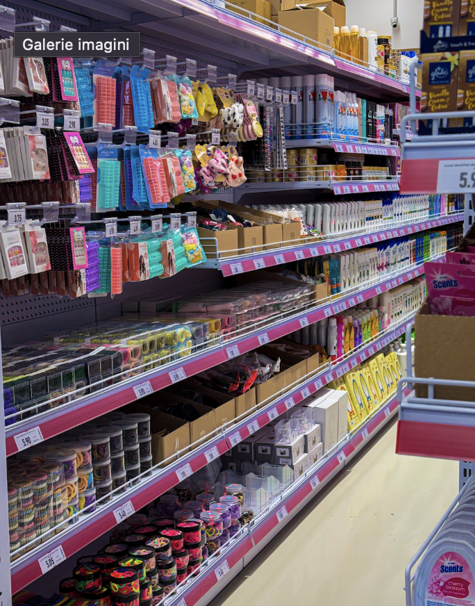 Galerie imagini