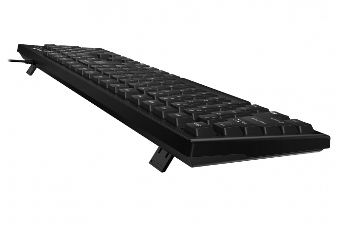 Tastatura USB Genius, Negru, 104 Taste, KB-100 - Ideal pentru Birou sau Acasa [4]