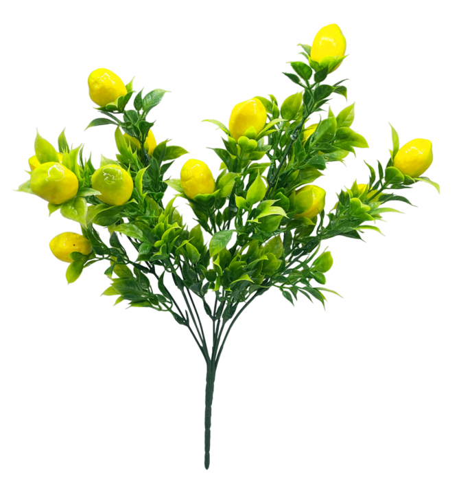 Buchet cu lamai si frunze LIMONE, 30cm [1]