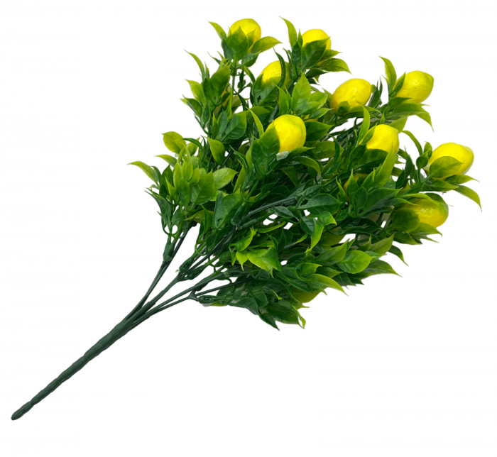 Buchet cu lamai si frunze LIMONE, 30cm [5]