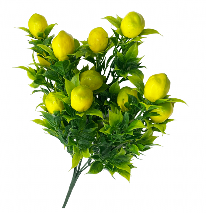 Buchet cu lamai si frunze LIMONE, 30cm [3]