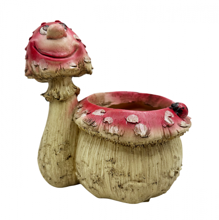 Ciuperca decorativa cu ghiveci MUSHY, 14x16cm [5]