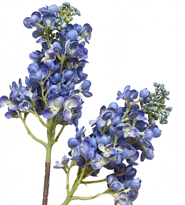 Liliac artificial CHARM, Albastru, 60cm [3]