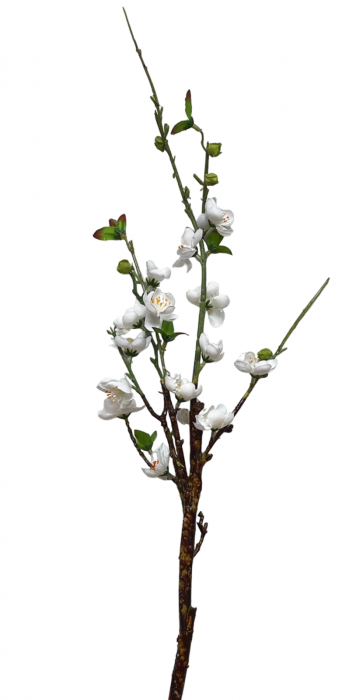 Crenguta cu flori artificiale BELLA, Alb, 50cm [2]
