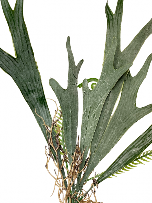 Iarba artificiala EXOTIC, 40cm [2]