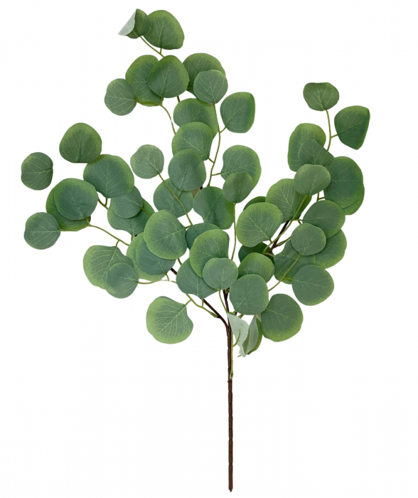 Creanga cu frunze artificiale EUCALIPT, Verde, 63cm [3]