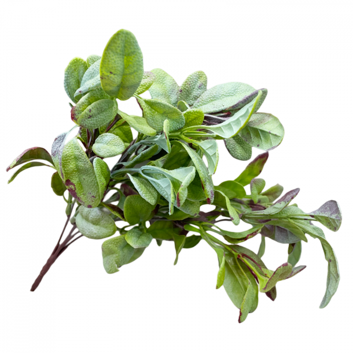 Planta artificiala CHANIA, Verde brumat, 30cm [3]