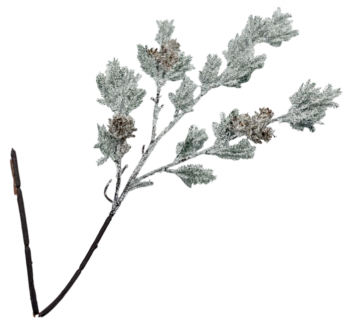 Creanga decor Craciun Tuia inzapezita FREEZY, 60cm [2]