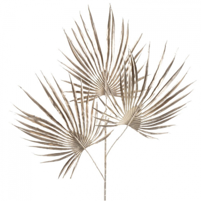 Creanga decorativa ALMA, Sampanie, 70cm [1]