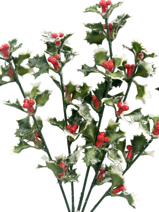 Crenguta decorativa cu frunze si fructe rosii ninse ILEX [2]