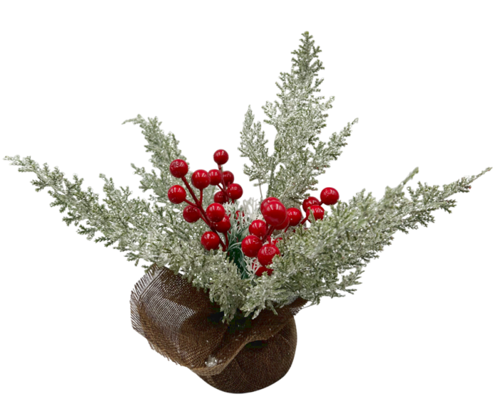 Decor Craciun cu crengute brad inzapezite BERRIES, 25x25cm [2]