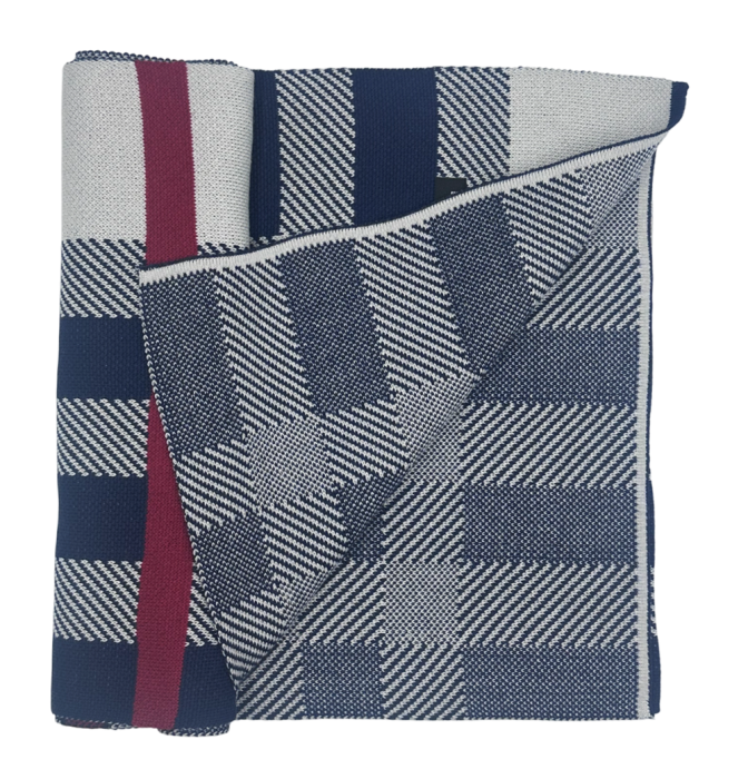 Esarfa barbati Cashmere CESARE in carouri Bleumarin [3]