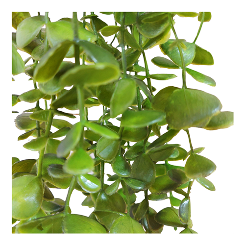 Eucalipt curgator artificial MAALI, Verde, 70cm [3]
