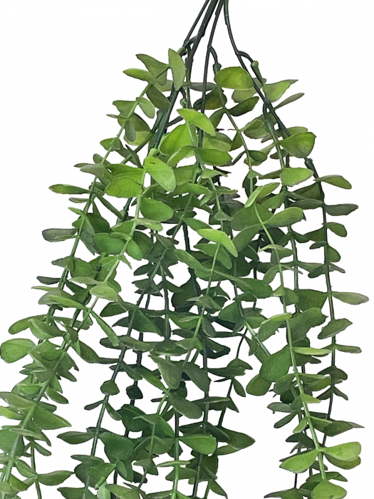 Eucalipt curgator artificial MAALI, Verde, 70cm [2]