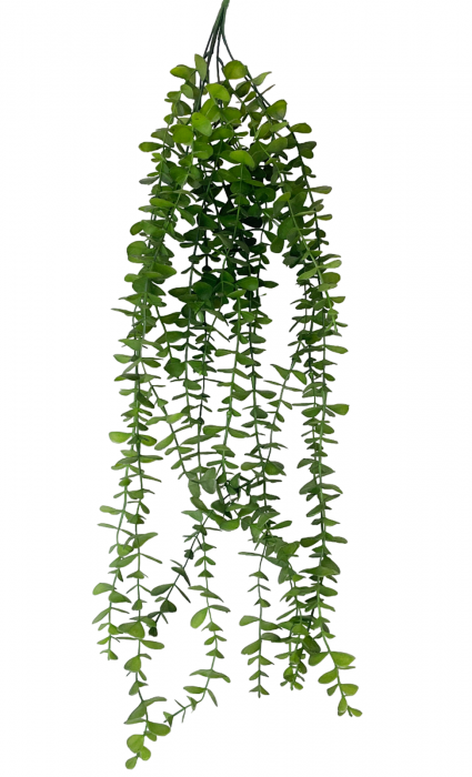 Eucalipt curgator artificial MAALI, Verde, 70cm [4]