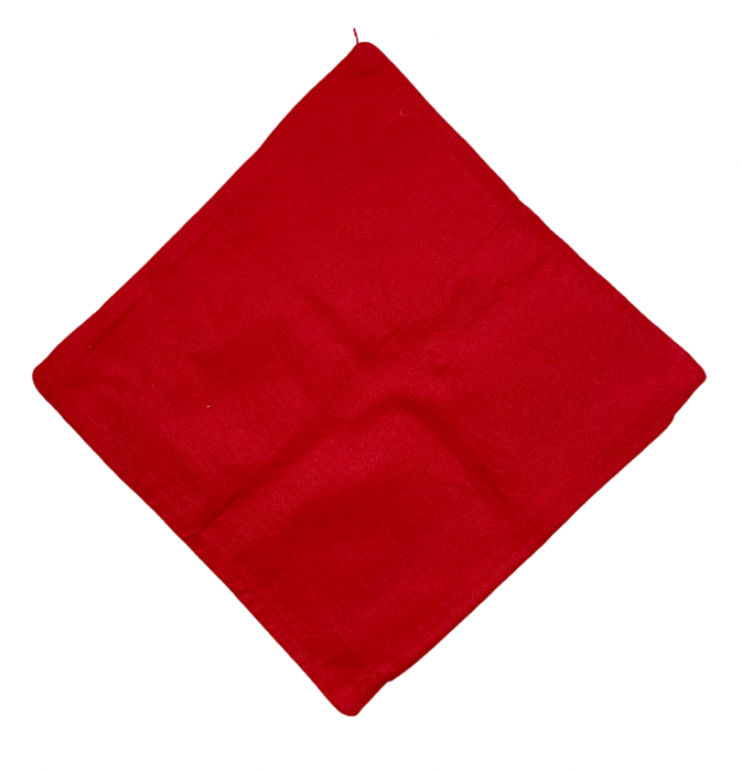 Fata de perna model Craciun Reindeer 45x45cm [2]